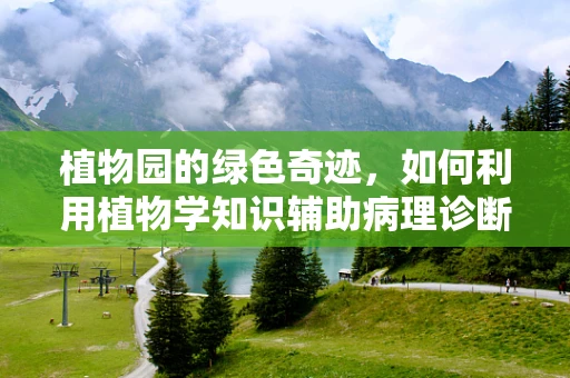 植物园的绿色奇迹，如何利用植物学知识辅助病理诊断？