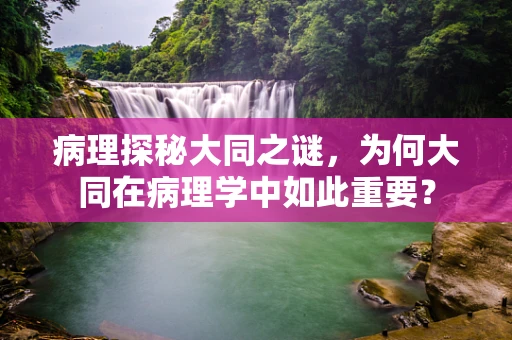 病理探秘大同之谜，为何大同在病理学中如此重要？