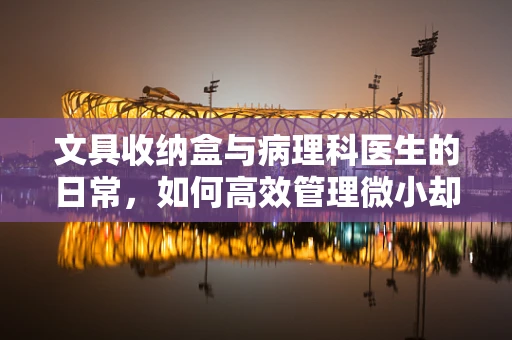 文具收纳盒与病理科医生的日常，如何高效管理微小却关键的‘证据’？