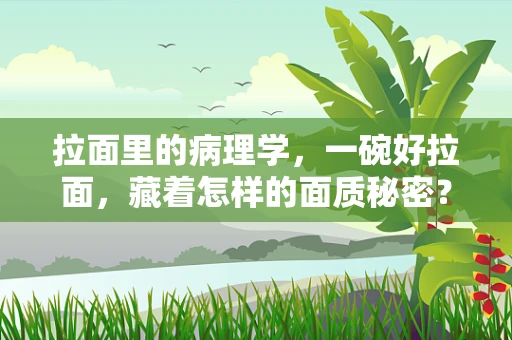 拉面里的病理学，一碗好拉面，藏着怎样的面质秘密？
