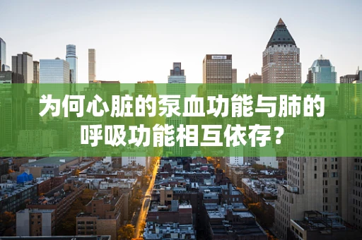 为何心脏的泵血功能与肺的呼吸功能相互依存？