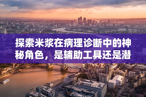 探索米浆在病理诊断中的神秘角色，是辅助工具还是潜在干扰因素？