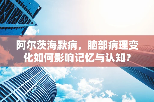阿尔茨海默病，脑部病理变化如何影响记忆与认知？