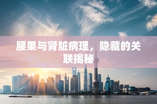 腰果与肾脏病理，隐藏的关联揭秘