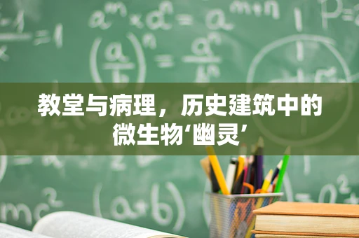教堂与病理，历史建筑中的微生物‘幽灵’