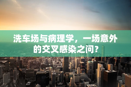 洗车场与病理学，一场意外的交叉感染之问？