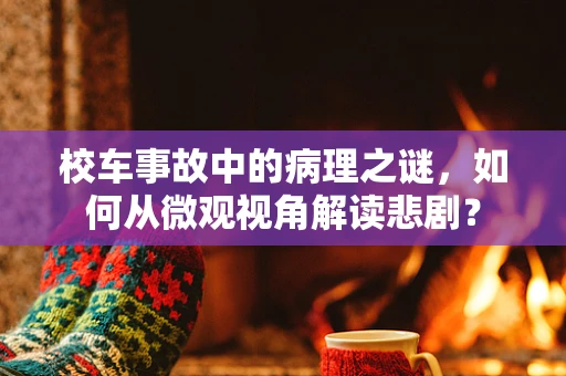 校车事故中的病理之谜，如何从微观视角解读悲剧？