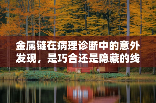 金属链在病理诊断中的意外发现，是巧合还是隐藏的线索？