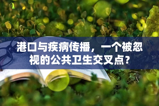 港口与疾病传播，一个被忽视的公共卫生交叉点？