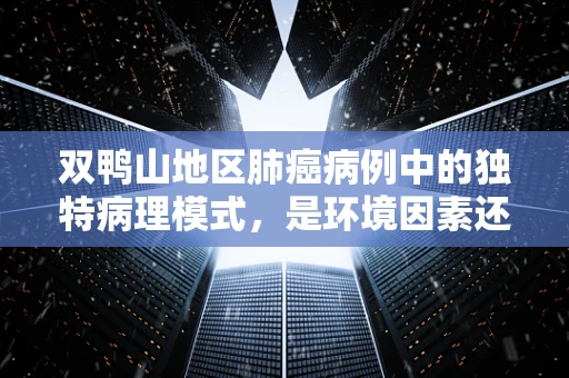 双鸭山地区肺癌病例中的独特病理模式，是环境因素还是遗传易感性？
