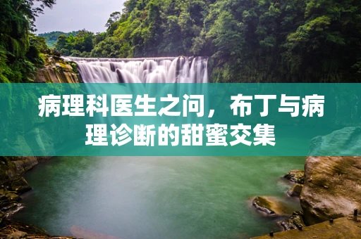 病理科医生之问，布丁与病理诊断的甜蜜交集