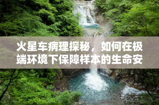 火星车病理探秘，如何在极端环境下保障样本的生命安全？