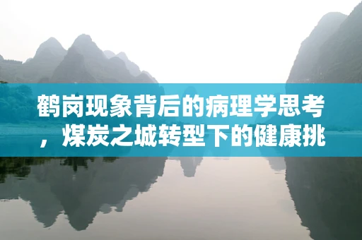鹤岗现象背后的病理学思考，煤炭之城转型下的健康挑战