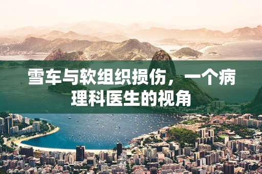 雪车与软组织损伤，一个病理科医生的视角