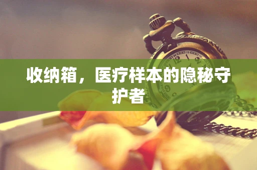 收纳箱，医疗样本的隐秘守护者