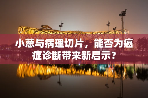 小葱与病理切片，能否为癌症诊断带来新启示？