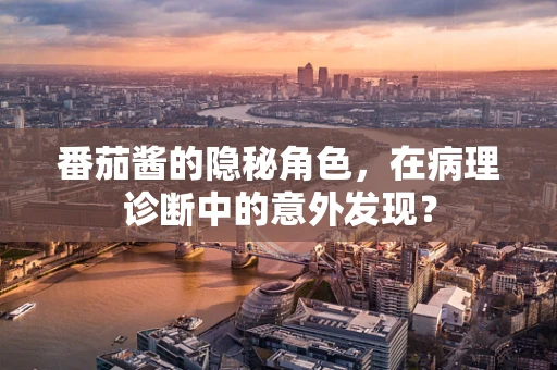 番茄酱的隐秘角色，在病理诊断中的意外发现？