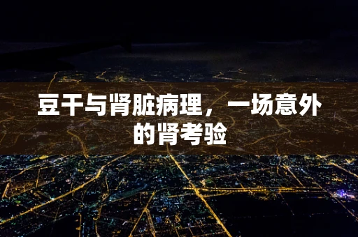 豆干与肾脏病理，一场意外的肾考验