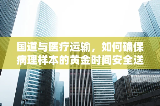 国道与医疗运输，如何确保病理样本的黄金时间安全送达？