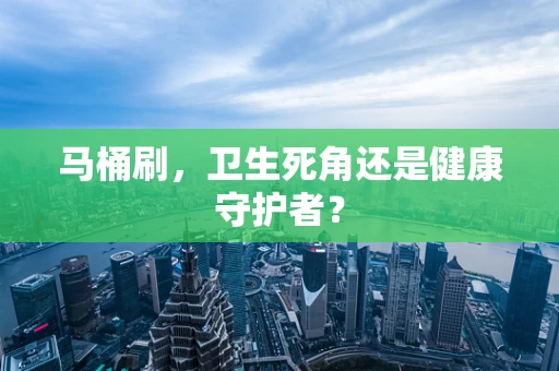 马桶刷，卫生死角还是健康守护者？