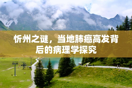 忻州之谜，当地肺癌高发背后的病理学探究