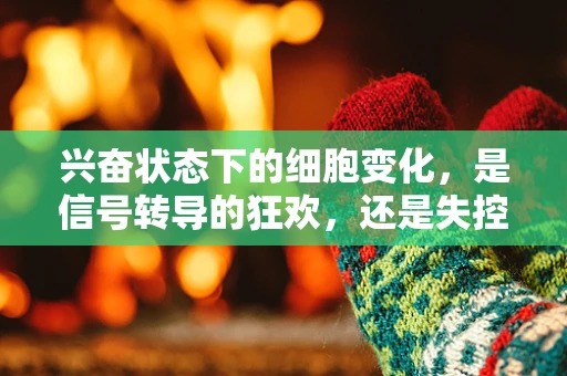 兴奋状态下的细胞变化，是信号转导的狂欢，还是失控的盛宴？