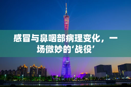 感冒与鼻咽部病理变化，一场微妙的‘战役’
