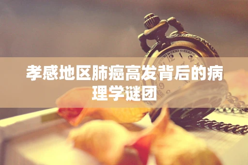 孝感地区肺癌高发背后的病理学谜团