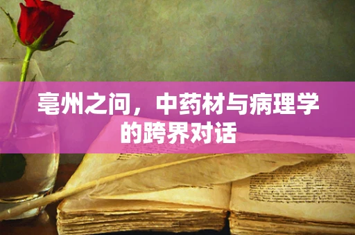 亳州之问，中药材与病理学的跨界对话