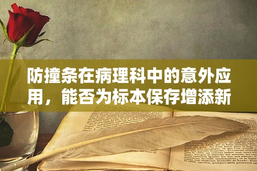 防撞条在病理科中的意外应用，能否为标本保存增添新防护？