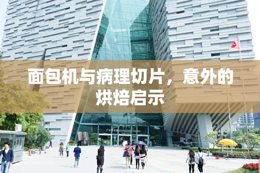 面包机与病理切片，意外的烘焙启示