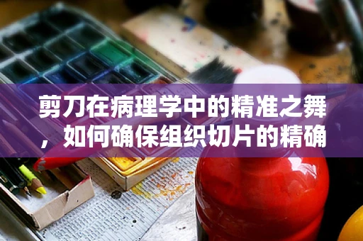 剪刀在病理学中的精准之舞，如何确保组织切片的精确性？