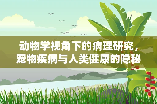 动物学视角下的病理研究，宠物疾病与人类健康的隐秘联系
