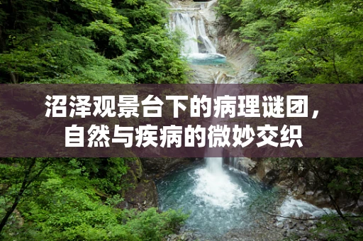 沼泽观景台下的病理谜团，自然与疾病的微妙交织