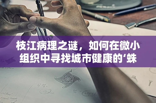 枝江病理之谜，如何在微小组织中寻找城市健康的‘蛛丝马迹’？