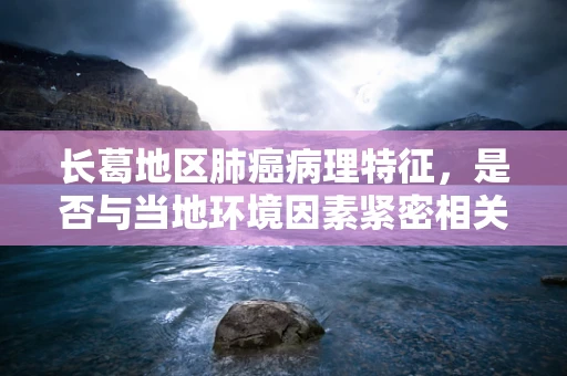 长葛地区肺癌病理特征，是否与当地环境因素紧密相关？