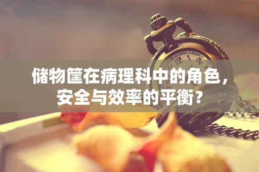 储物筐在病理科中的角色，安全与效率的平衡？