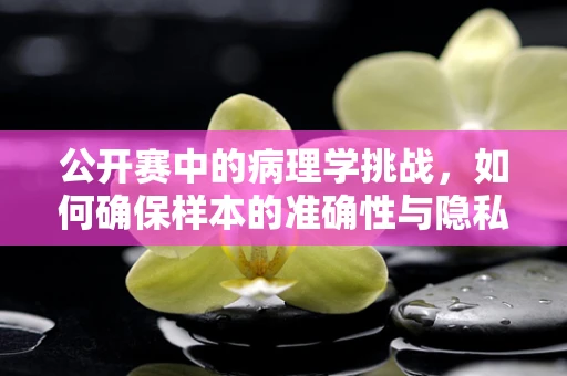 公开赛中的病理学挑战，如何确保样本的准确性与隐私性？