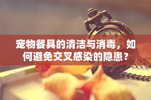 宠物餐具的清洁与消毒，如何避免交叉感染的隐患？