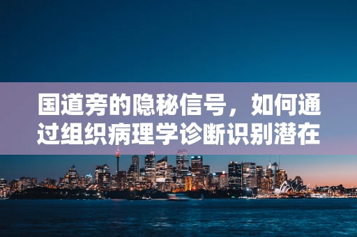 国道旁的隐秘信号，如何通过组织病理学诊断识别潜在交通伤害的微小痕迹？