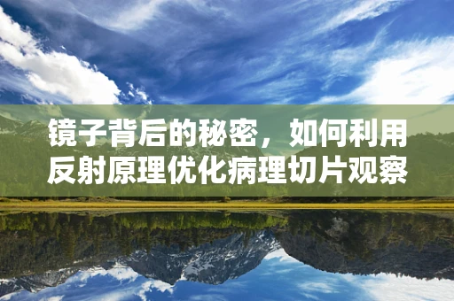 镜子背后的秘密，如何利用反射原理优化病理切片观察？