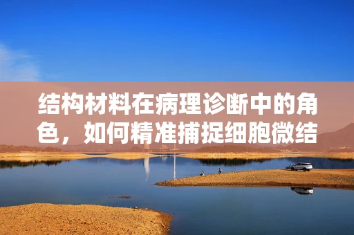 结构材料在病理诊断中的角色，如何精准捕捉细胞微结构的秘密？