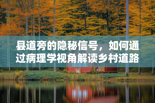 县道旁的隐秘信号，如何通过病理学视角解读乡村道路上的健康警报？