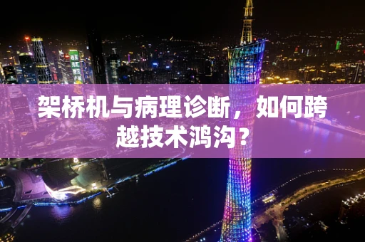 架桥机与病理诊断，如何跨越技术鸿沟？
