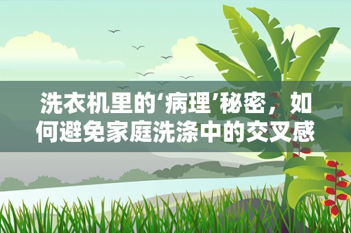 洗衣机里的‘病理’秘密，如何避免家庭洗涤中的交叉感染？