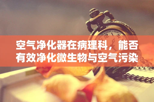 空气净化器在病理科，能否有效净化微生物与空气污染物？
