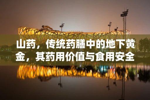 山药，传统药膳中的地下黄金，其药用价值与食用安全如何平衡？