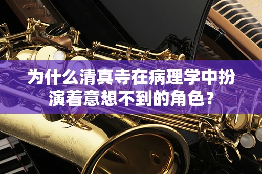 为什么清真寺在病理学中扮演着意想不到的角色？
