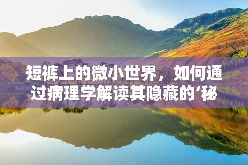 短裤上的微小世界，如何通过病理学解读其隐藏的‘秘密’？