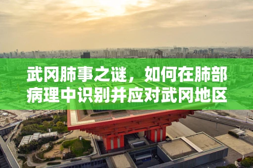 武冈肺事之谜，如何在肺部病理中识别并应对武冈地区特有的肺部疾病挑战？